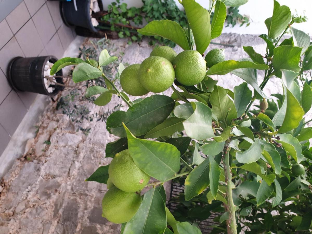 Готель Lemon Tree Доньї-Сегет Екстер'єр фото