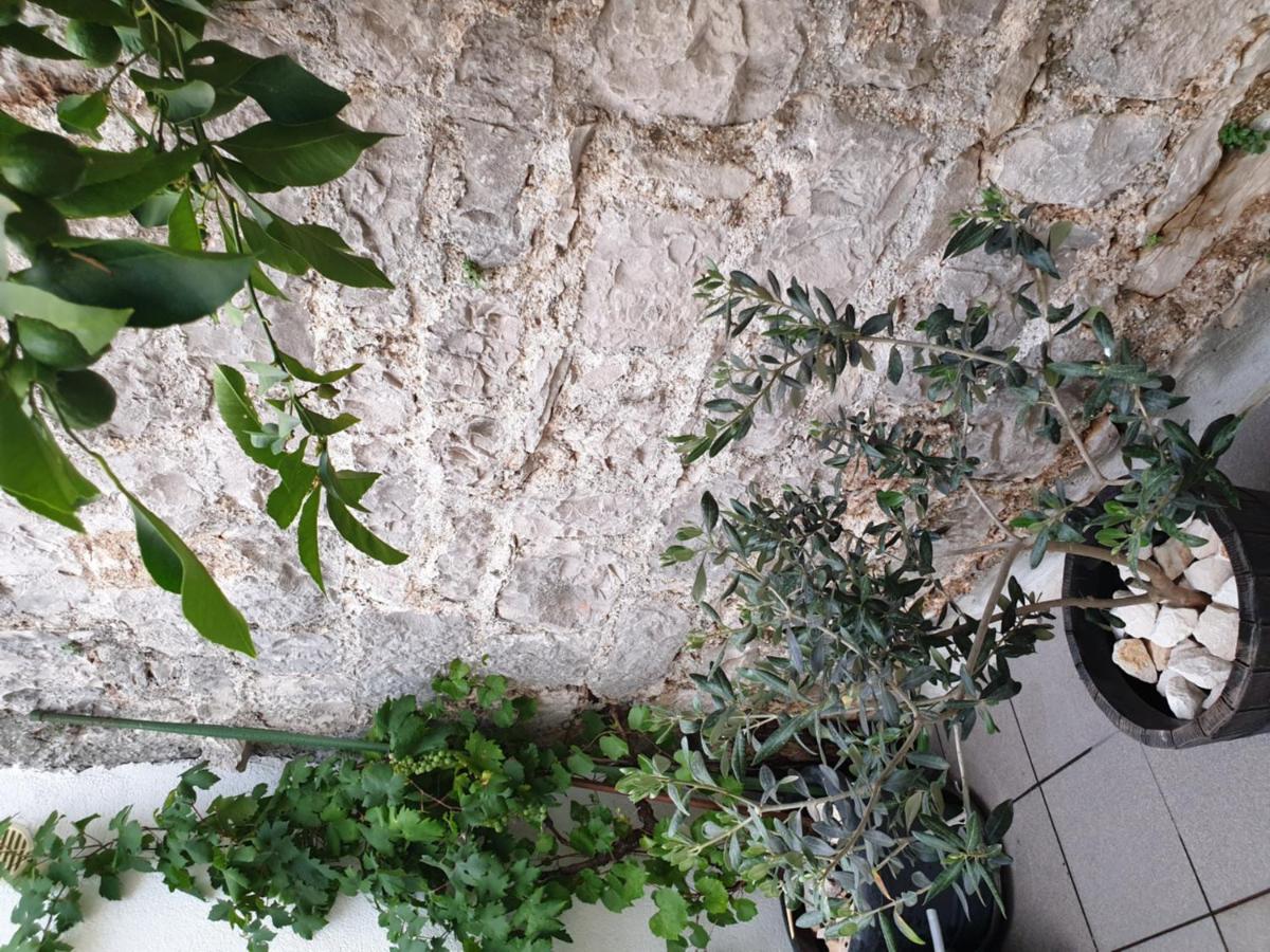 Готель Lemon Tree Доньї-Сегет Екстер'єр фото